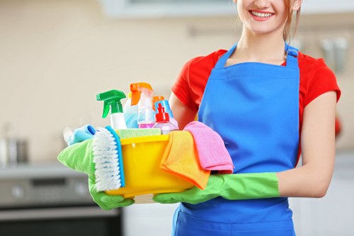 Professional carpet cleaners assessing safety before starting work