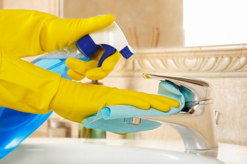 Carpet and rug pet stain odour removal process in a Hammersmith home