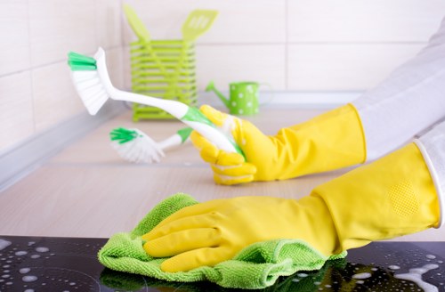 Accessibility statement introduction for Hammersmith Carpet Cleaners
