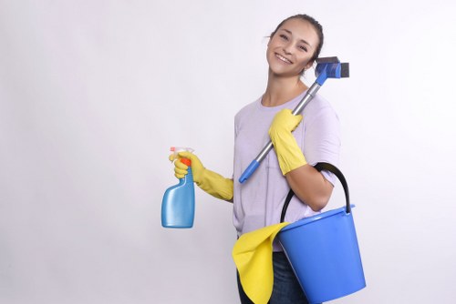 Deep cleaning a fabric sofa in a Hammersmith home