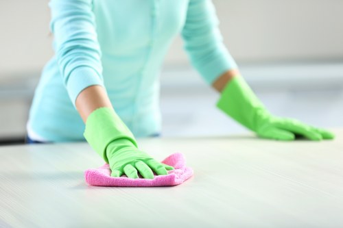 Experienced carpet cleaner restoring a busy home carpet