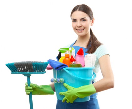 Professional cleaning solution for pet urine odour on upholstery